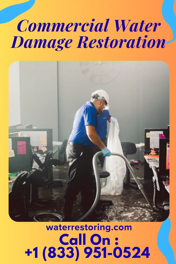 Commercial Water Damage Restoration in Cudjoe Key, FL